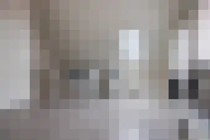 Suikerpeer 95 Boskoop thumbnail 32