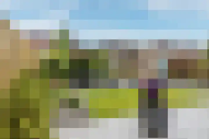 Suikerpeer 95 Boskoop thumbnail 37