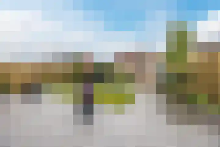 Suikerpeer 95 Boskoop thumbnail 38