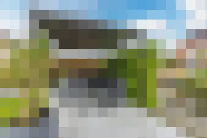 Suikerpeer 95 Boskoop thumbnail 39