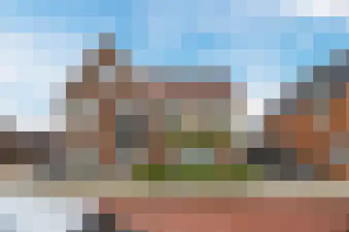 Suikerpeer 95 Boskoop thumbnail 4