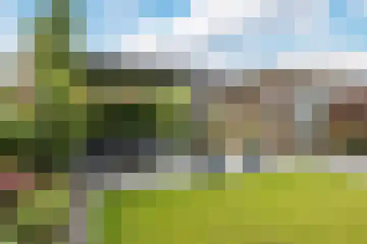 Suikerpeer 95 Boskoop thumbnail 40