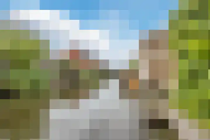 Suikerpeer 95 Boskoop thumbnail 41