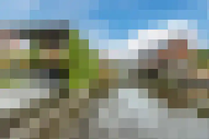 Suikerpeer 95 Boskoop thumbnail 42
