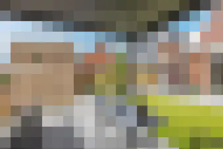 Suikerpeer 95 Boskoop thumbnail 44