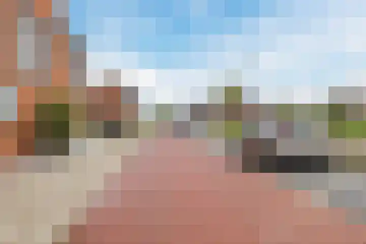 Suikerpeer 95 Boskoop thumbnail 45