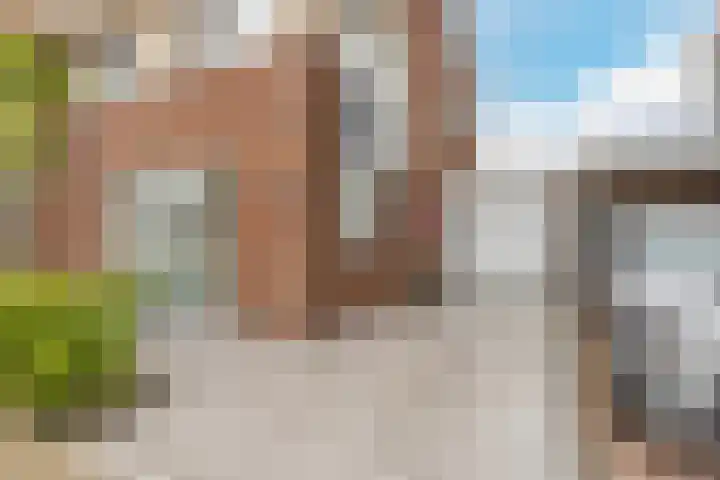 Suikerpeer 95 Boskoop thumbnail 5