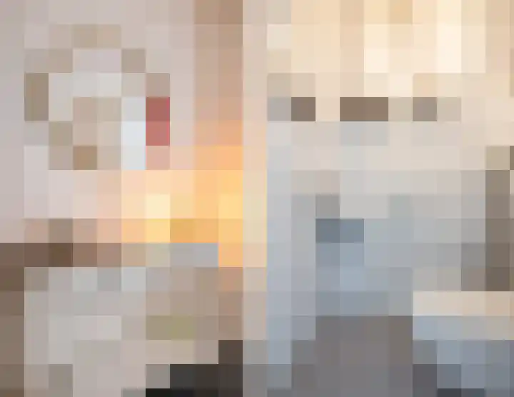 Suikerpeer 95 Boskoop thumbnail 7
