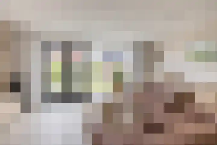 Suikerpeer 95 Boskoop thumbnail 8
