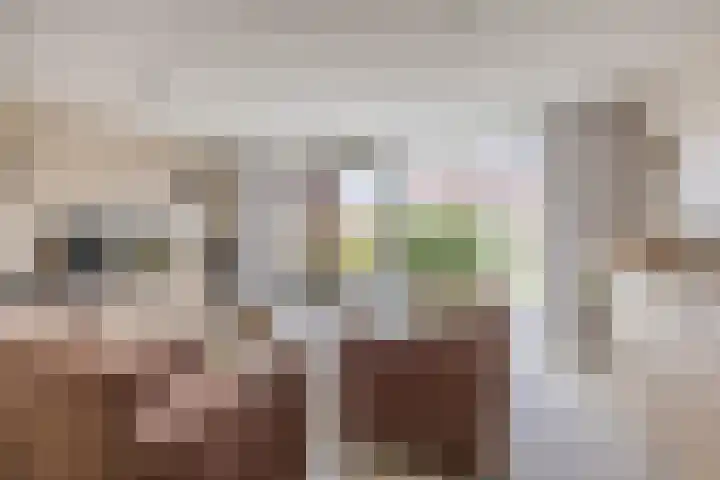 Suikerpeer 95 Boskoop thumbnail 9