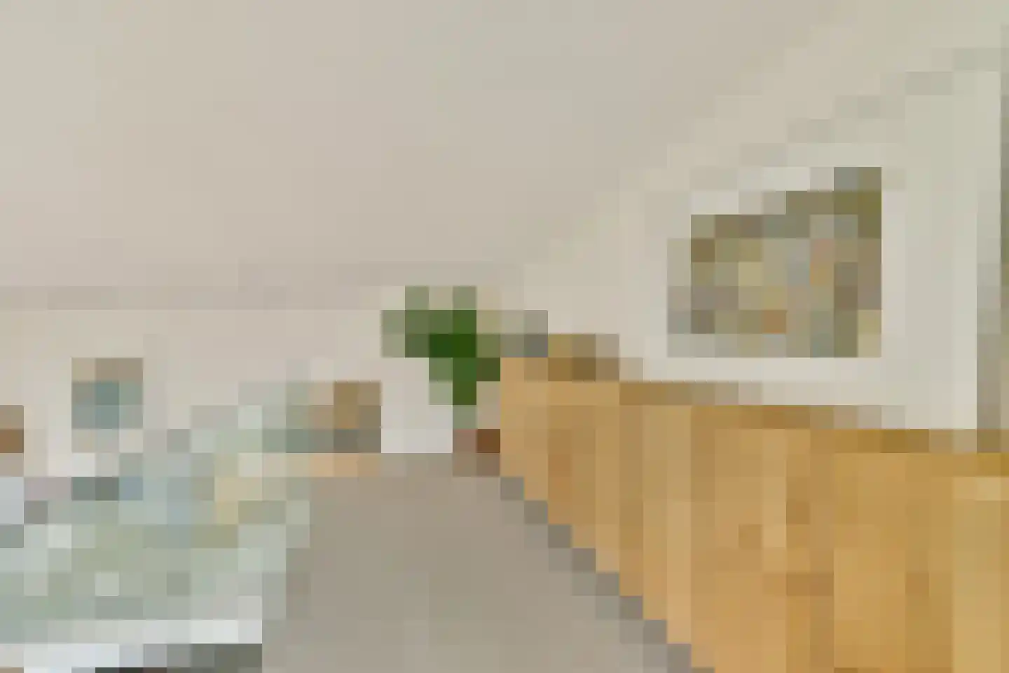 Suikerpeerpad 11 Amsterdam thumbnail 11