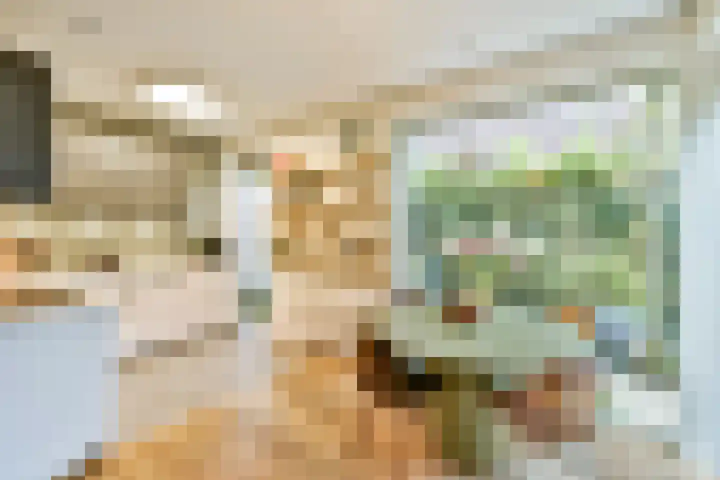 Suikerpeerpad 11 Amsterdam thumbnail 12