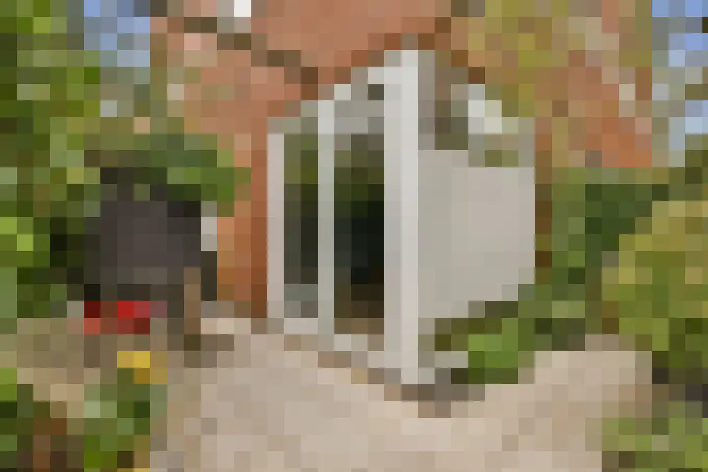 Suikerpeerpad 11 Amsterdam thumbnail 17