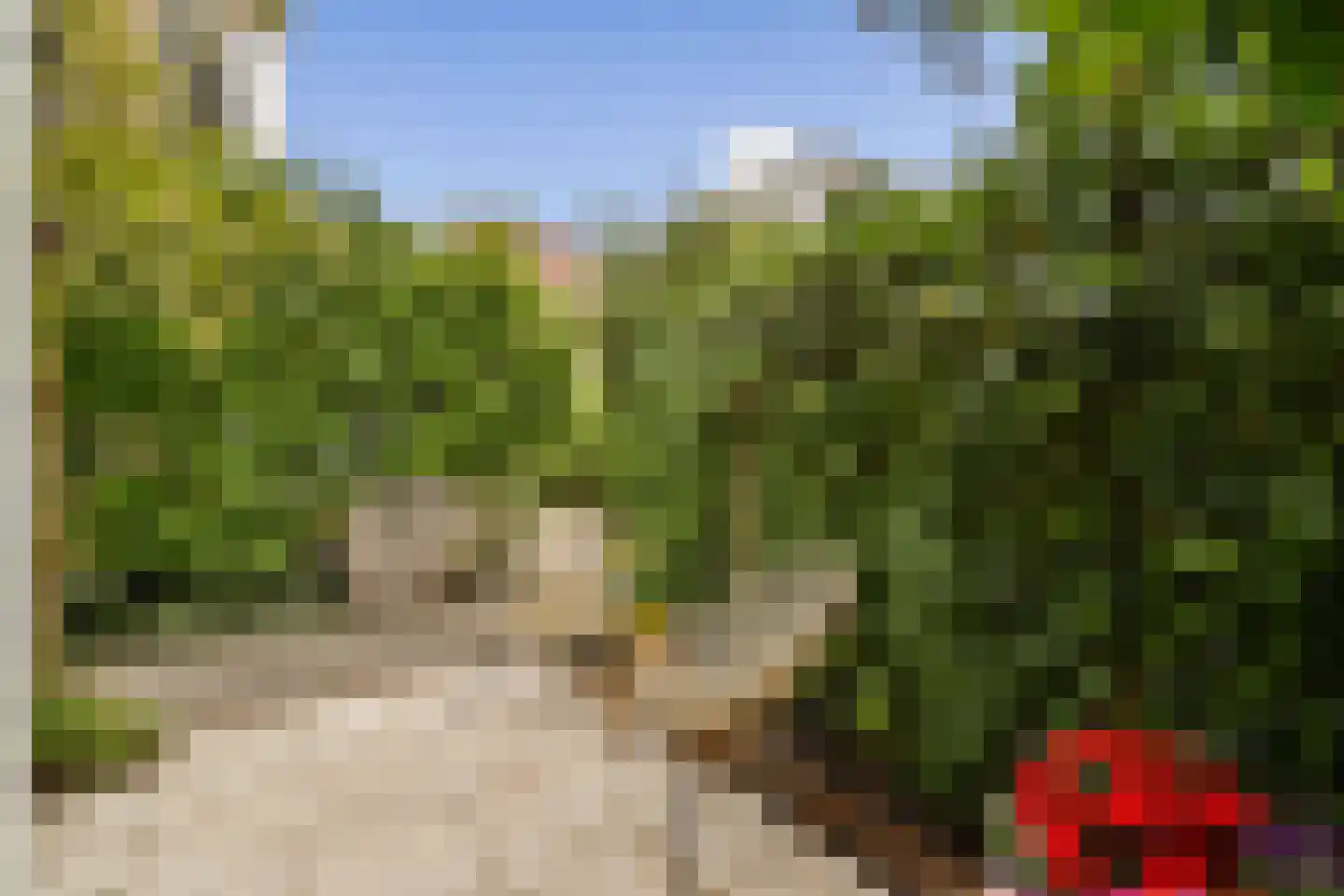 Suikerpeerpad 11 Amsterdam thumbnail 18