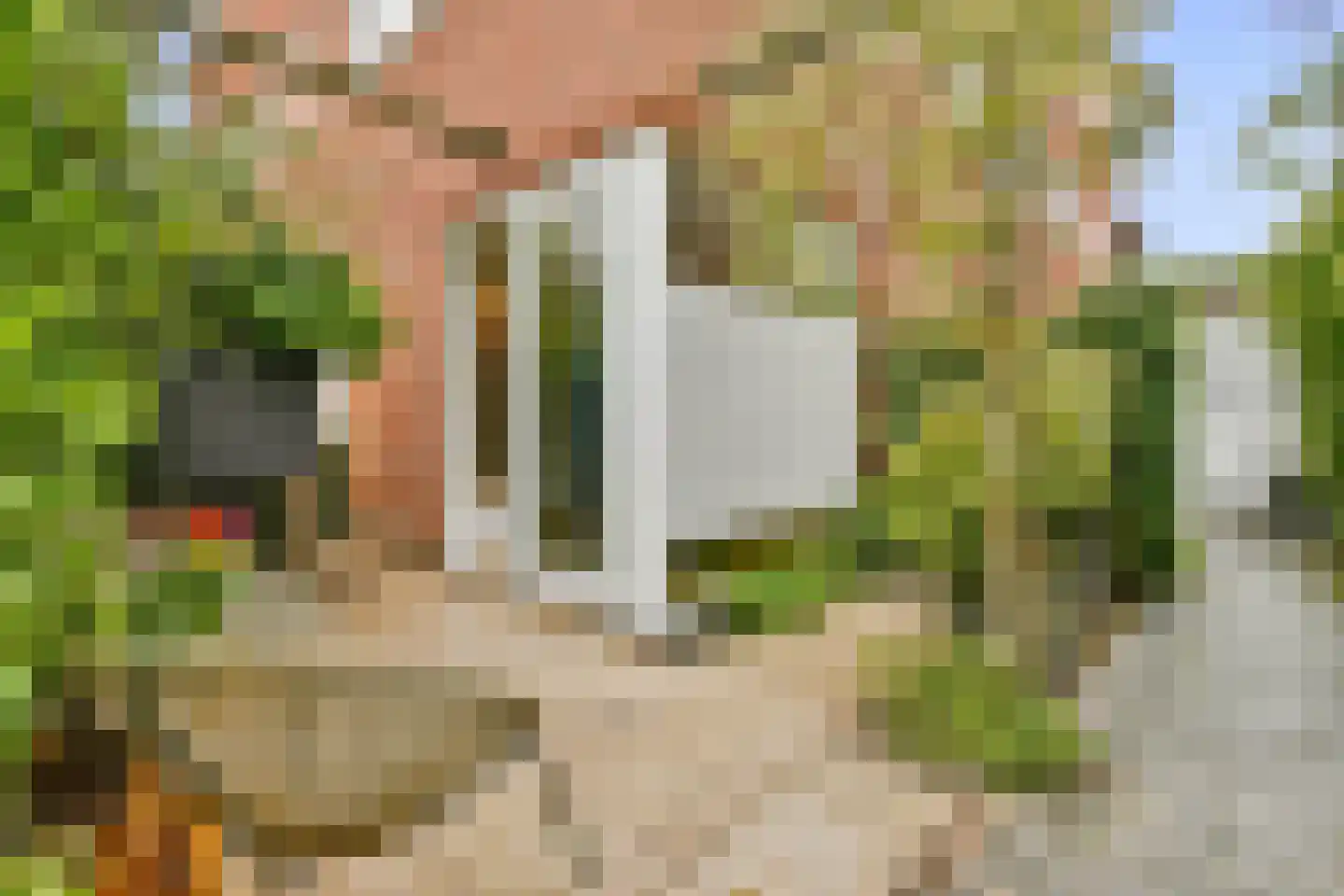Suikerpeerpad 11 Amsterdam thumbnail 19