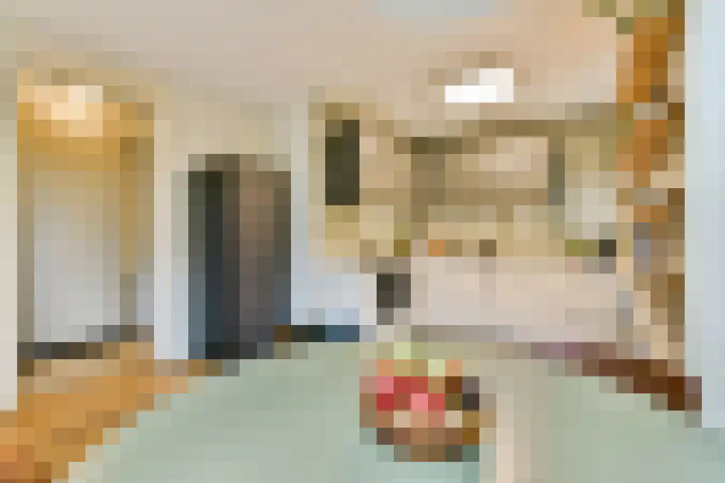 Suikerpeerpad 11 Amsterdam thumbnail 20