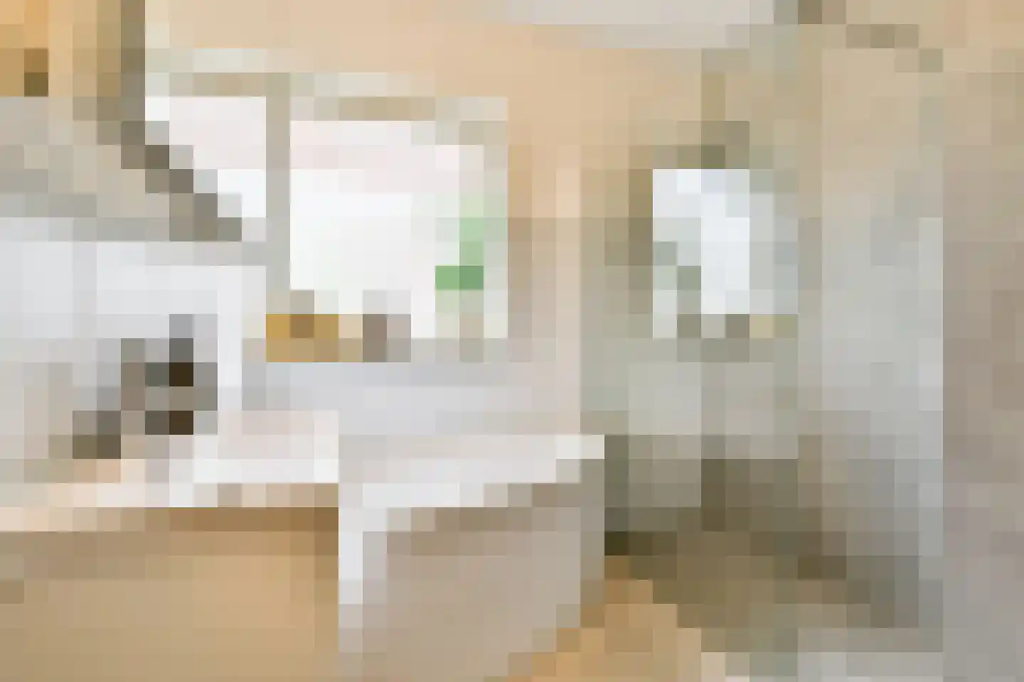 Suikerpeerpad 11 Amsterdam thumbnail 26