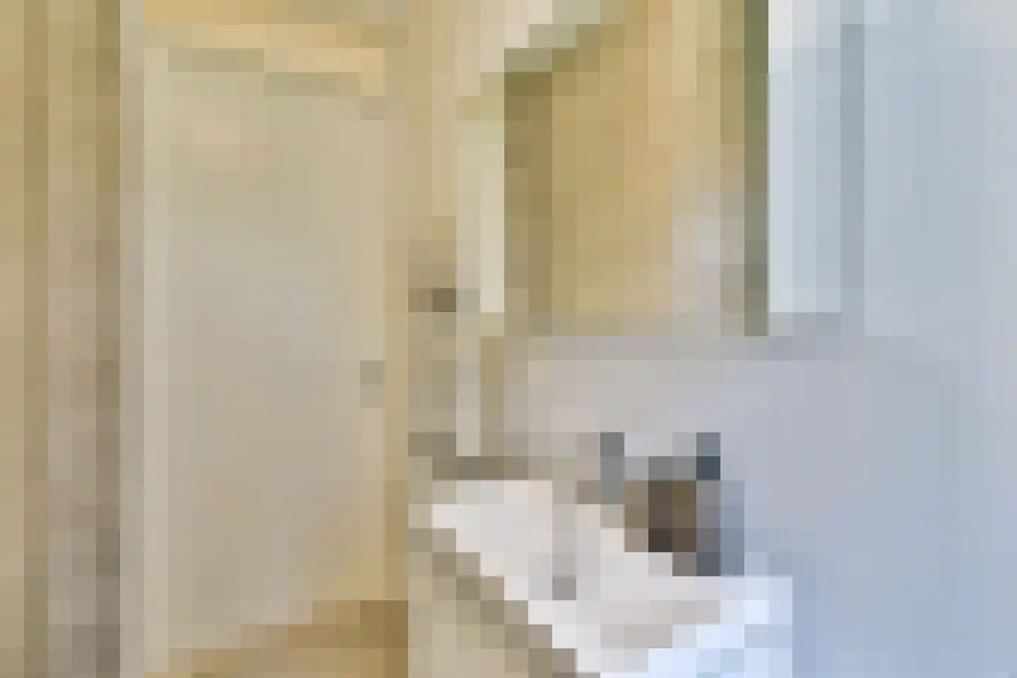 Suikerpeerpad 11 Amsterdam thumbnail 27