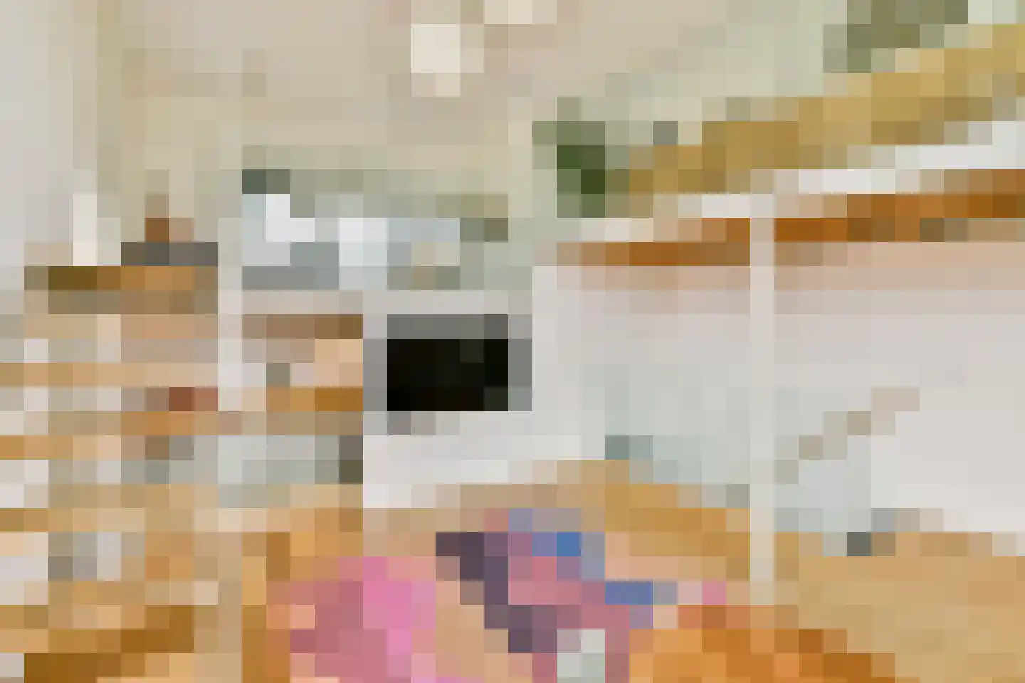 Suikerpeerpad 11 Amsterdam thumbnail 5