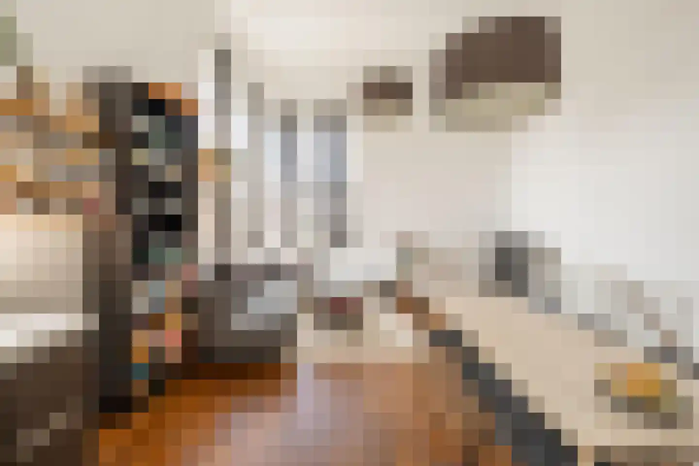 Suikerpeerpad 29 Amsterdam thumbnail 20