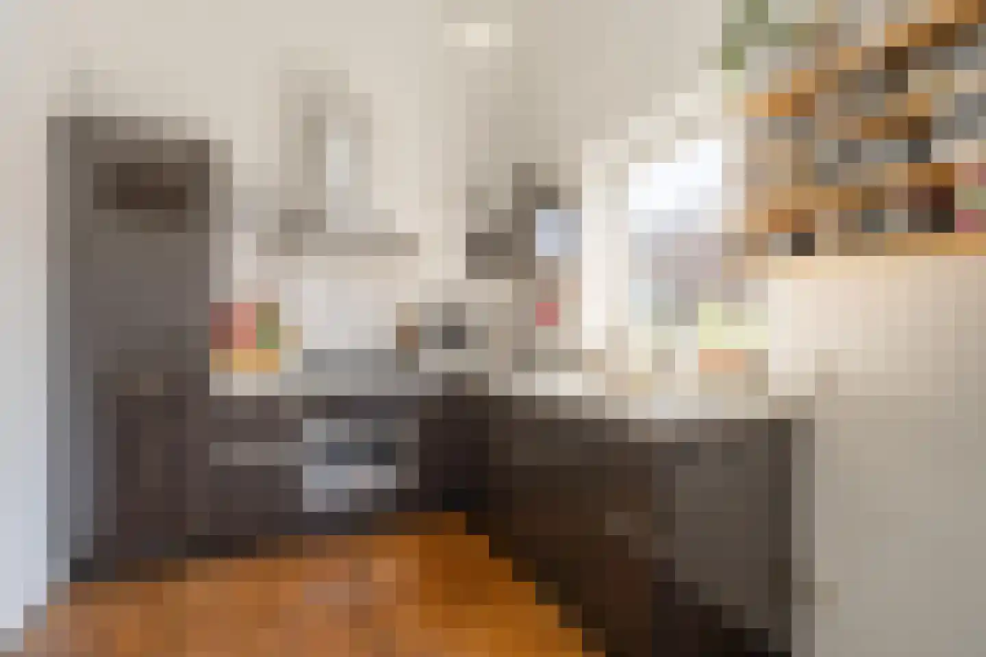 Suikerpeerpad 29 Amsterdam thumbnail 22
