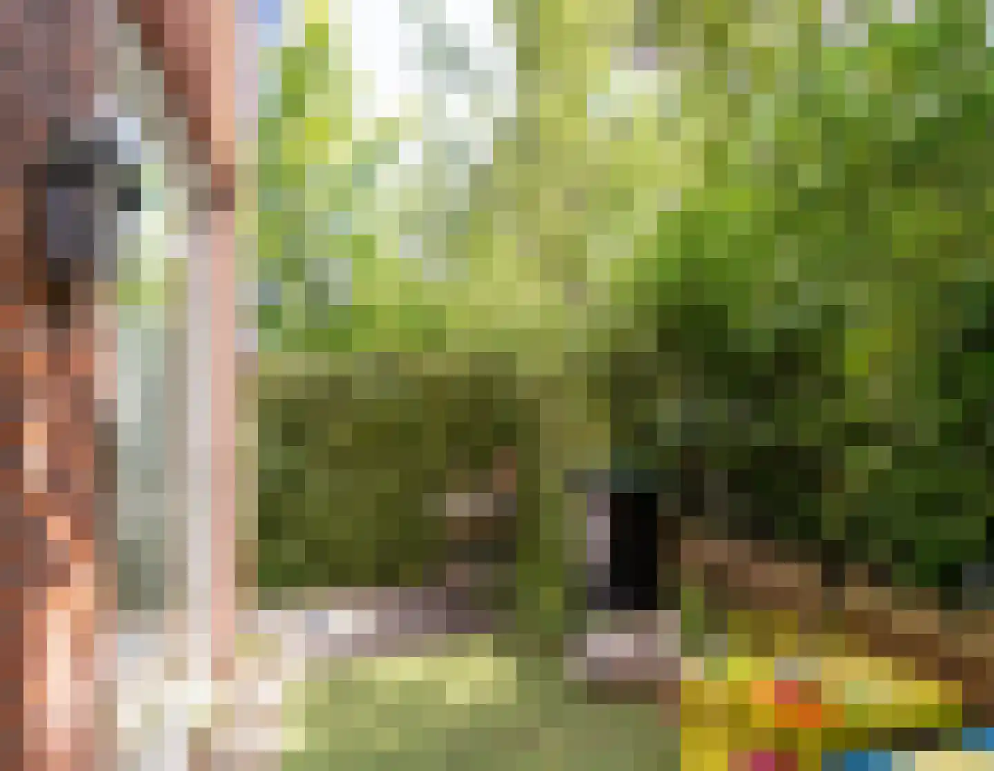 Suikerpeerpad 29 Amsterdam thumbnail 26