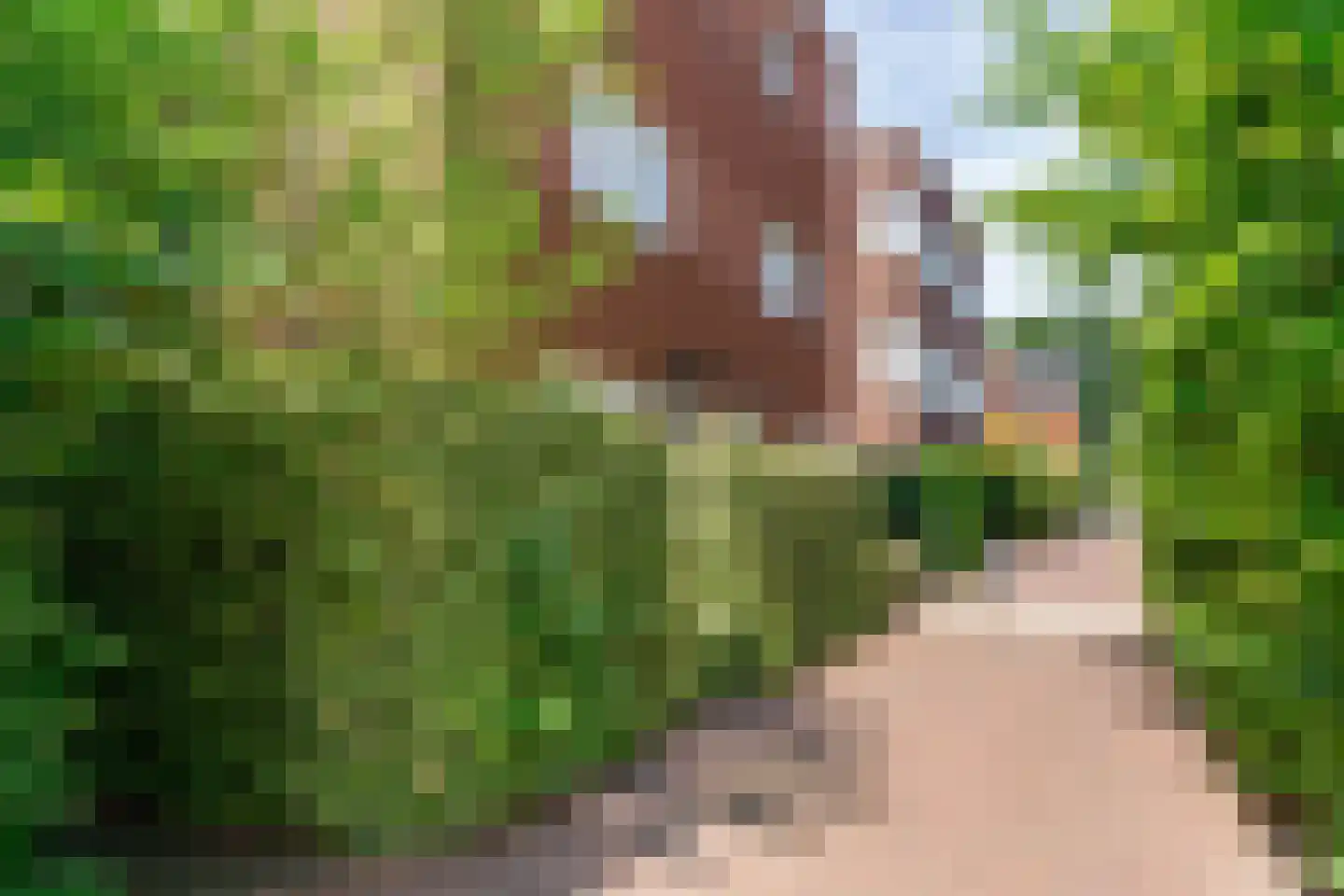 Suikerpeerpad 29 Amsterdam thumbnail 28