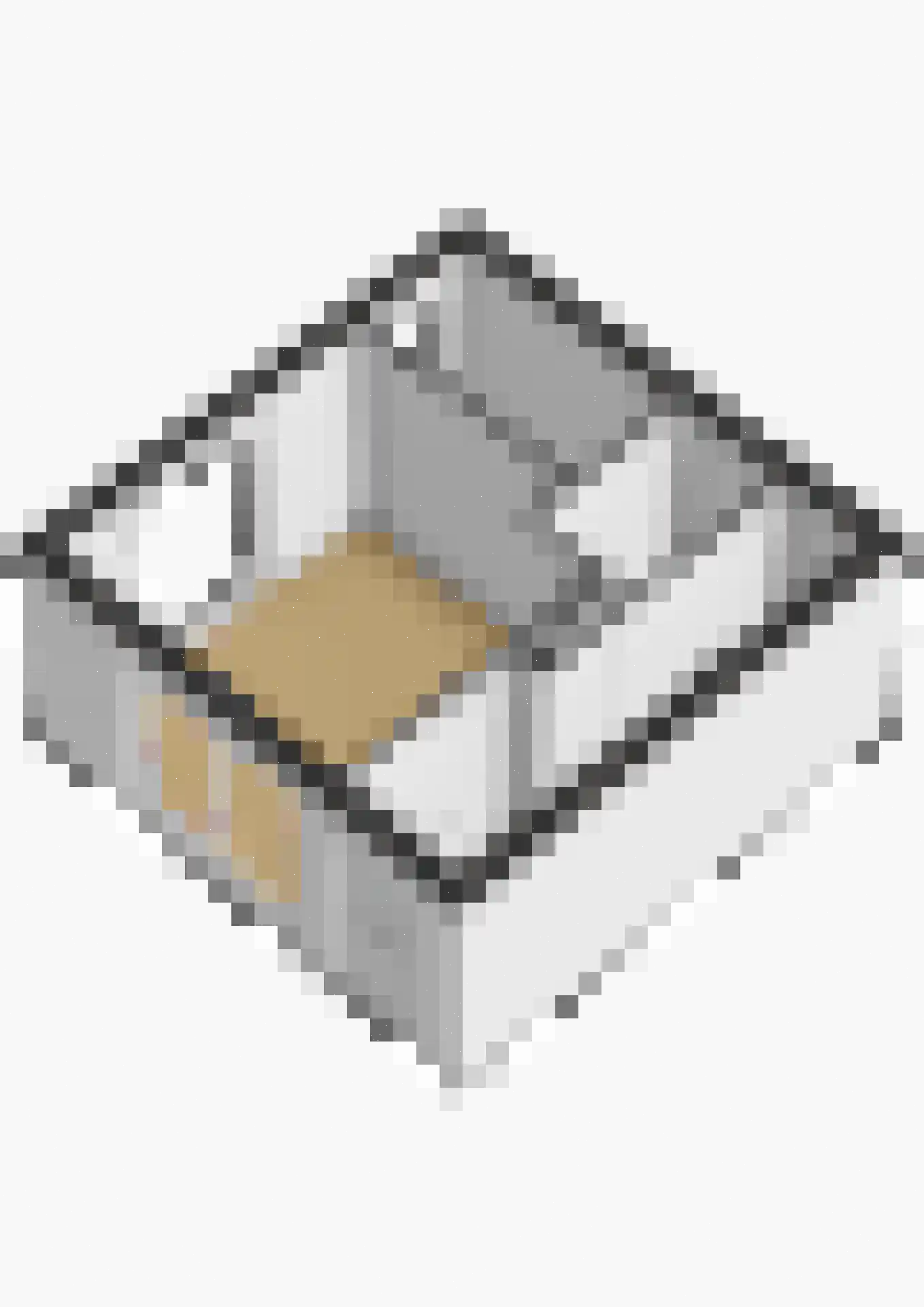 Suikerpeerpad 29 Amsterdam thumbnail 33