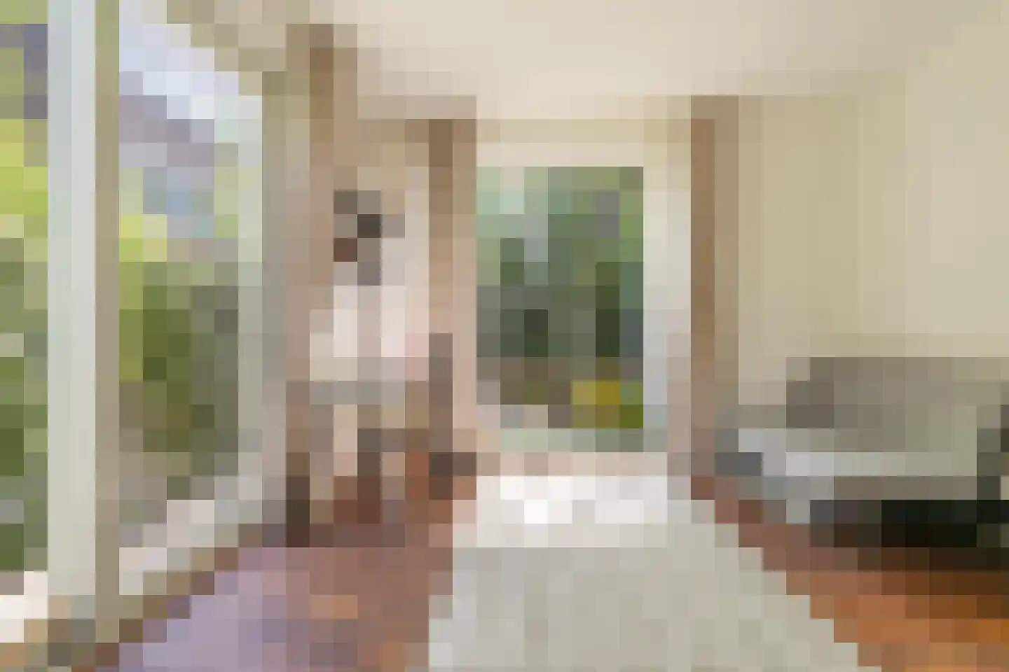 Suikerpeerpad 29 Amsterdam thumbnail 4