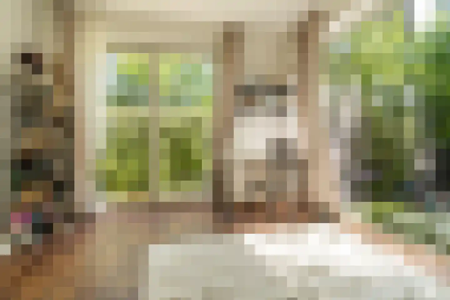 Suikerpeerpad 29 Amsterdam thumbnail 6