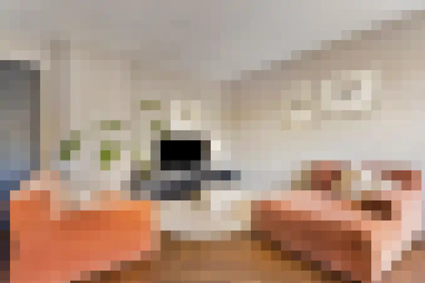 Suikerpeerpad 3 Amsterdam thumbnail 12
