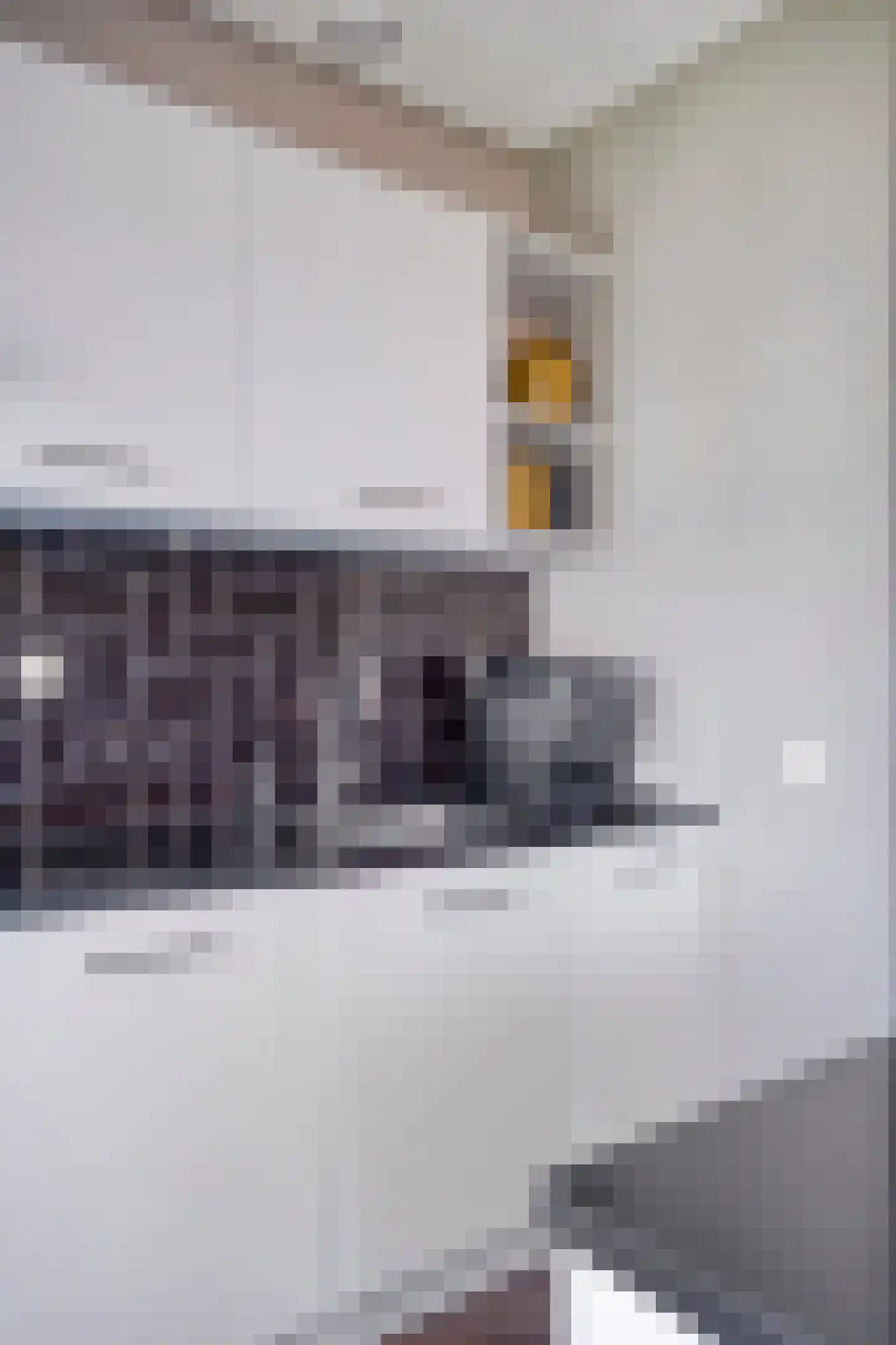 Suikerpeerpad 3 Amsterdam thumbnail 19