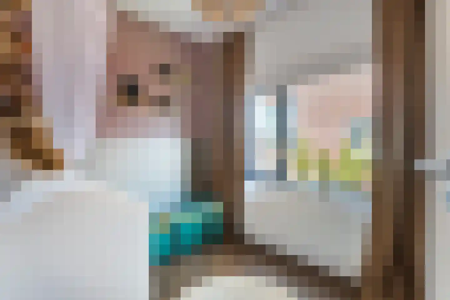 Suikerpeerpad 3 Amsterdam thumbnail 25