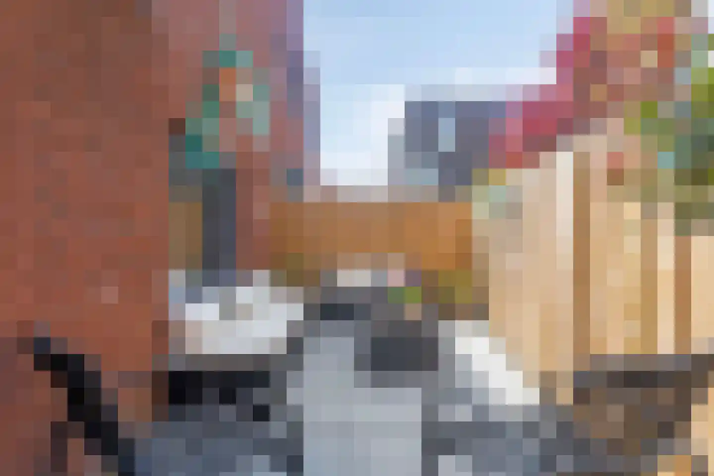 Suikerpeerpad 3 Amsterdam thumbnail 31