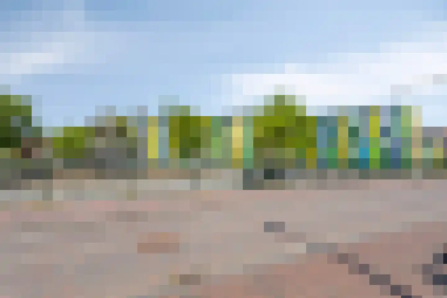 Suikerpeerpad 3 Amsterdam thumbnail 36