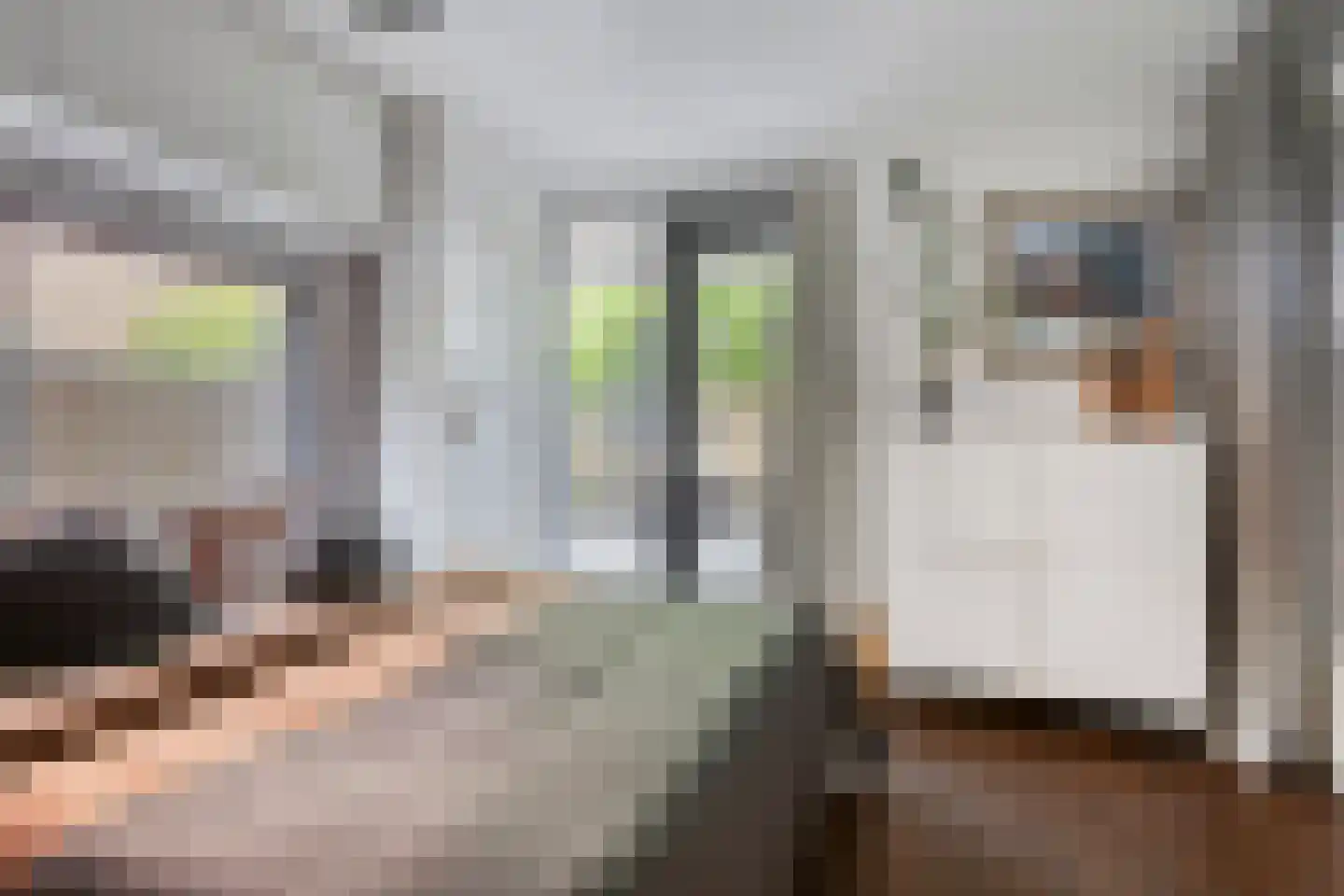 Suikerpeerpad 3 Amsterdam thumbnail 8