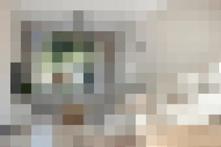 Suikerpeerstraat 10 Eindhoven thumbnail 10
