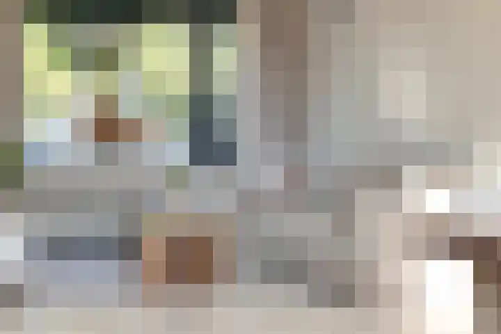 Suikerpeerstraat 10 Eindhoven thumbnail 11