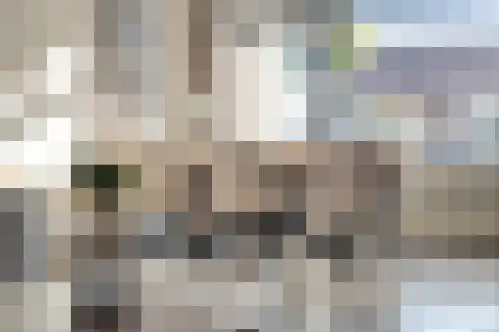 Suikerpeerstraat 10 Eindhoven thumbnail 12