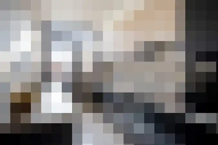 Suikerpeerstraat 10 Eindhoven thumbnail 13