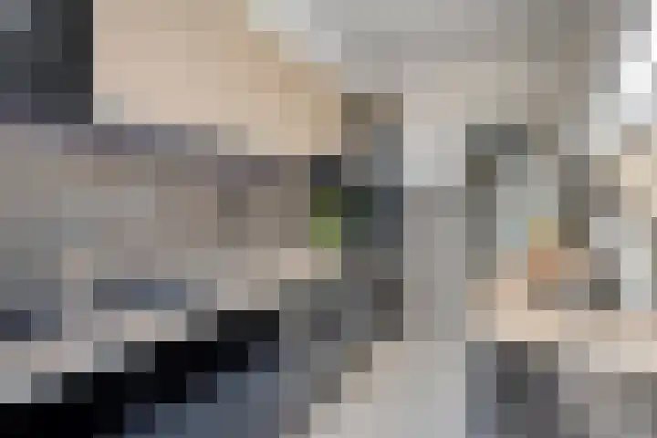 Suikerpeerstraat 10 Eindhoven thumbnail 14
