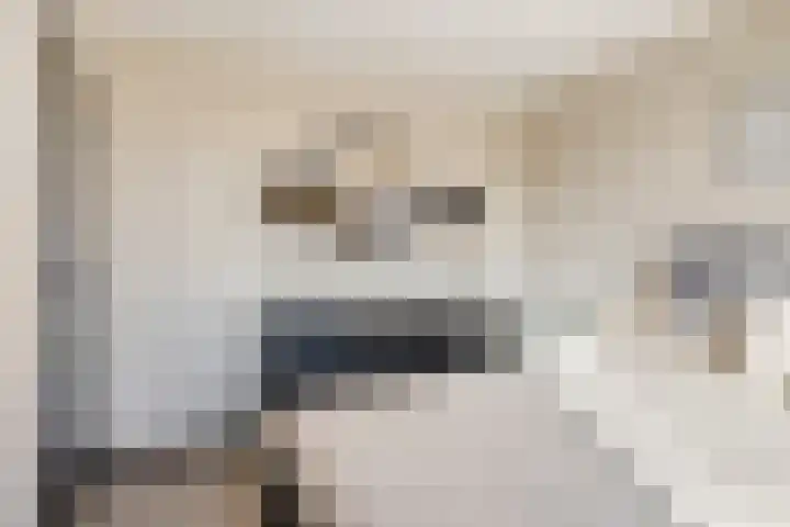 Suikerpeerstraat 10 Eindhoven thumbnail 18