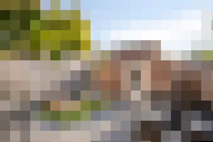 Suikerpeerstraat 10 Eindhoven thumbnail 27