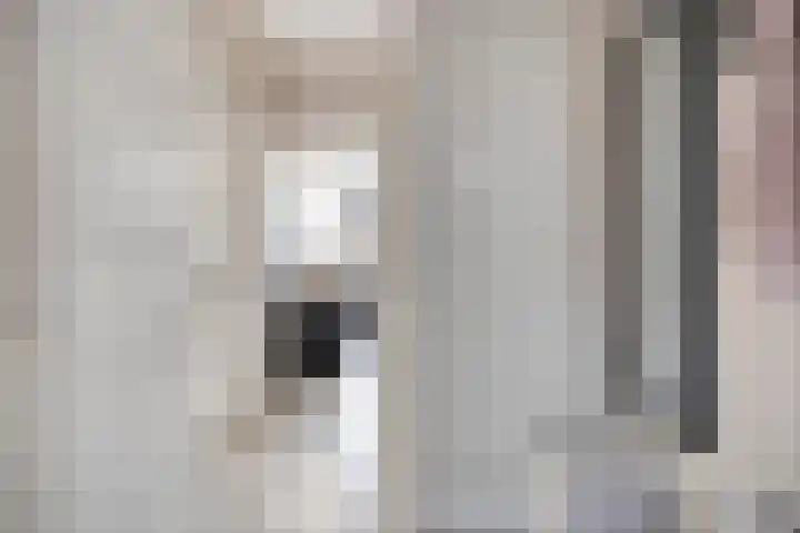 Suikerpeerstraat 10 Eindhoven thumbnail 4
