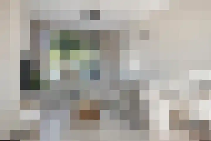 Suikerpeerstraat 10 Eindhoven thumbnail 6