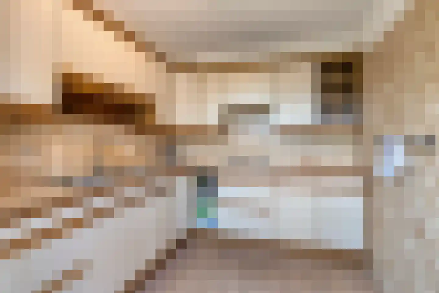 Suikerpeerstraat 2 D Eindhoven thumbnail 11