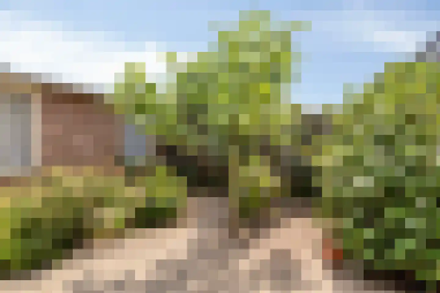 Suikerpeerstraat 2 D Eindhoven thumbnail 25