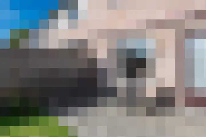 Suikerpeerstraat 2 E Eindhoven thumbnail 33