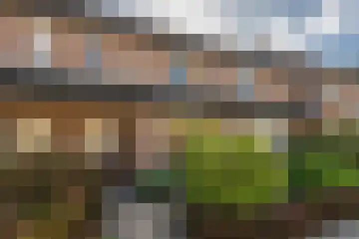 Suikerpeerstraat 2 E Eindhoven thumbnail 8