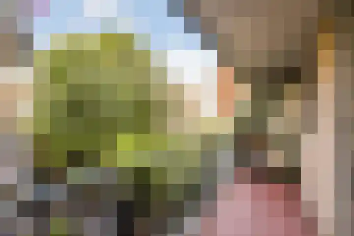 Suikerplein 23 Amsterdam thumbnail 14